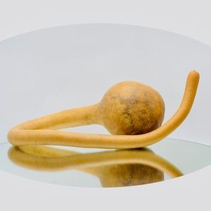 Clean Dried Natural Gourd 
ARTS & CRAFTS Project Ready ~ Table Top Centerpiece